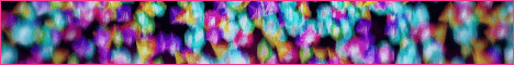 Bunny MC Banner
