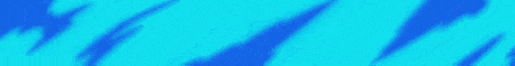 Elytra Banner