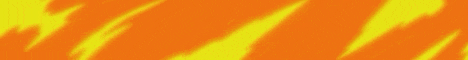 Seegson Banner
