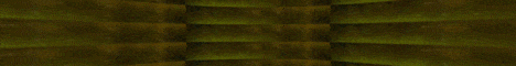 StarHollow Banner