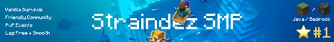 StraindezSMP Banner
