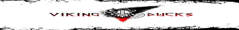 VikingLand Banner